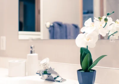 Bathroom vanity with a white sink and a potted orchid.