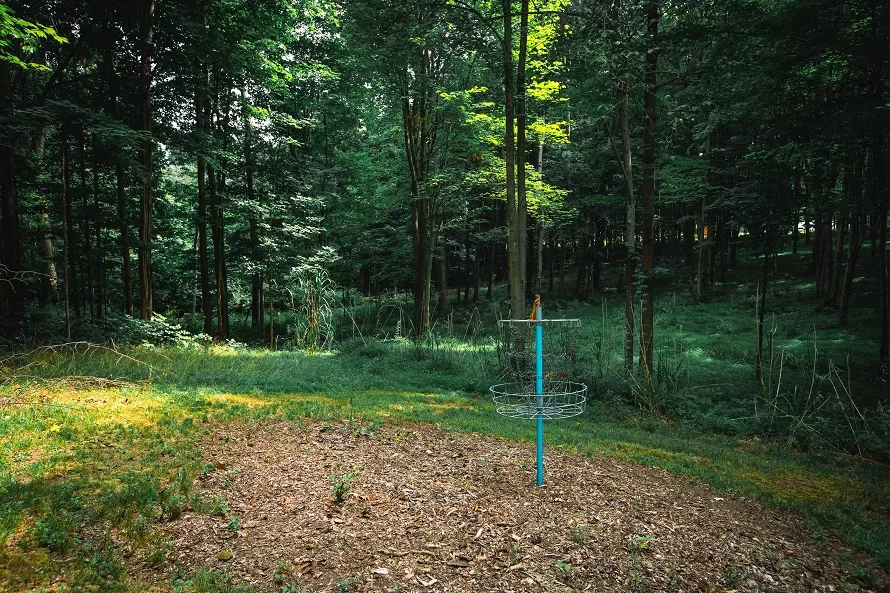 Frisbee golf on the property.