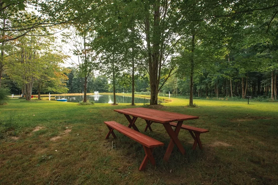 Picnic table.