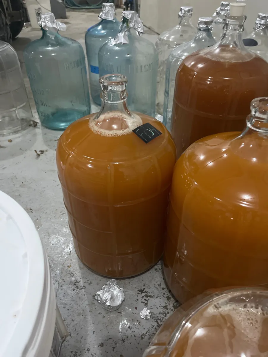 A collection of large glass carboys filled with a brown liquid, some with a small tag on them, positioned on a floor in a brewery or fermentation area.
