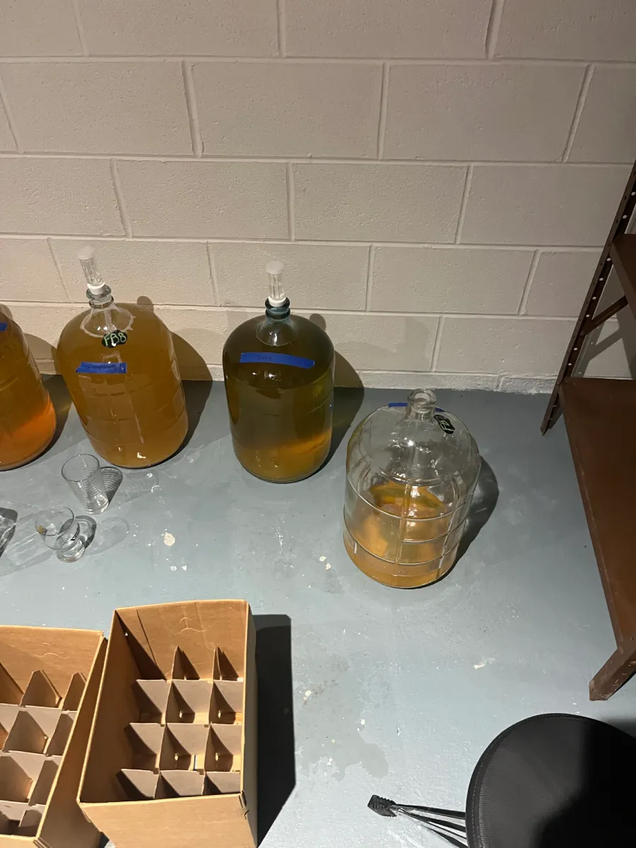 Several large glass carboys and containers filled with a yellowish liquid on a concrete floor, with some cardboard boxes nearby.
