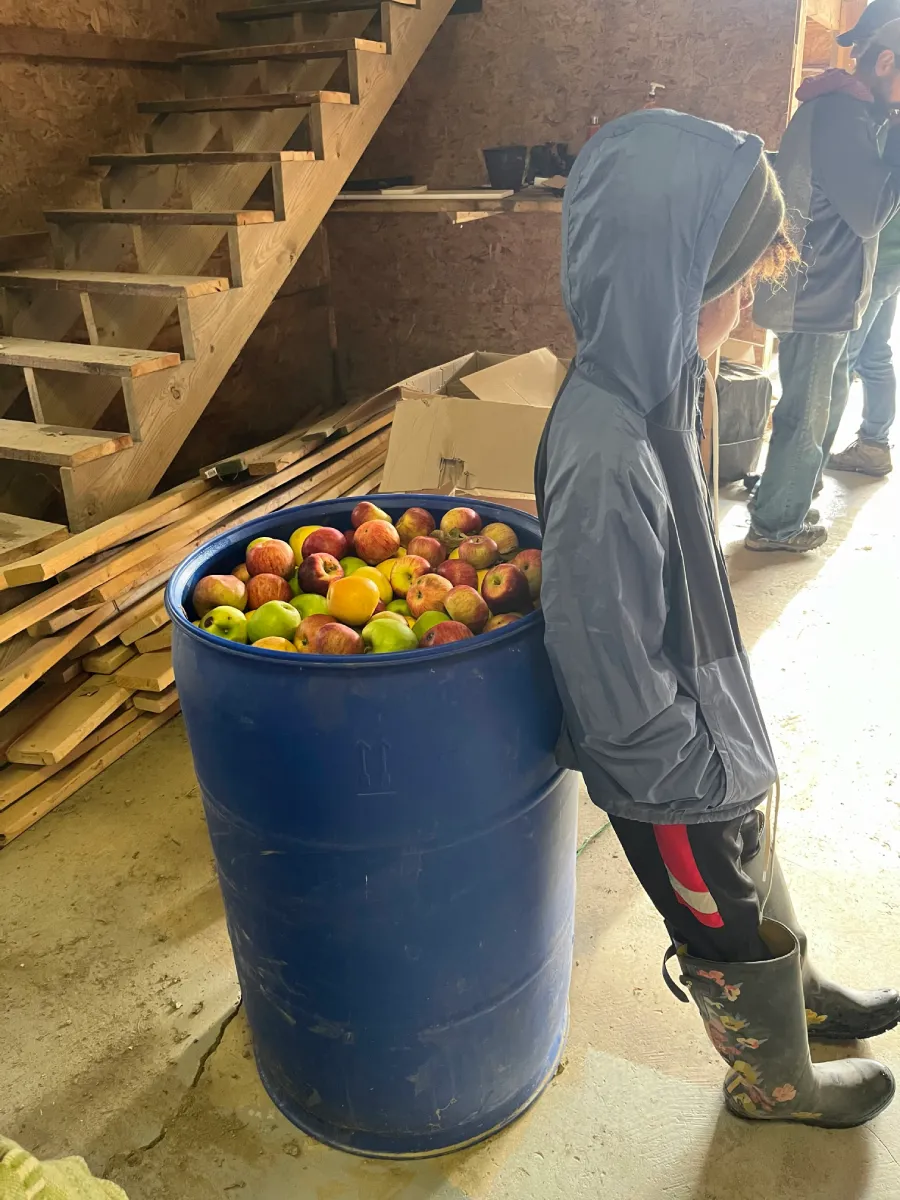 A child wearing a hooded jacket stands next to a blue barrel filled with apples in a workshop space.