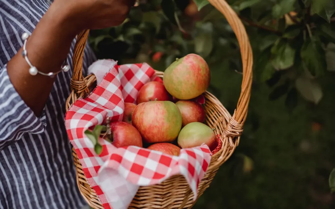 A person holding a wicker basket filled with apples, lined with a red and white checkered cloth.